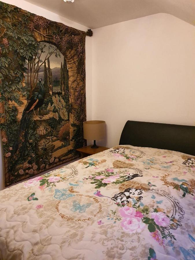 Ferienwohnung Berg View Bad Kissingen Apartment Mit 3 Schlafzimmern ภายนอก รูปภาพ